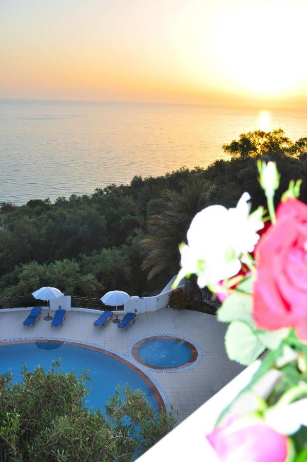 Holiday Apartments Maria With Pool - Agios Gordios Beach Экстерьер фото